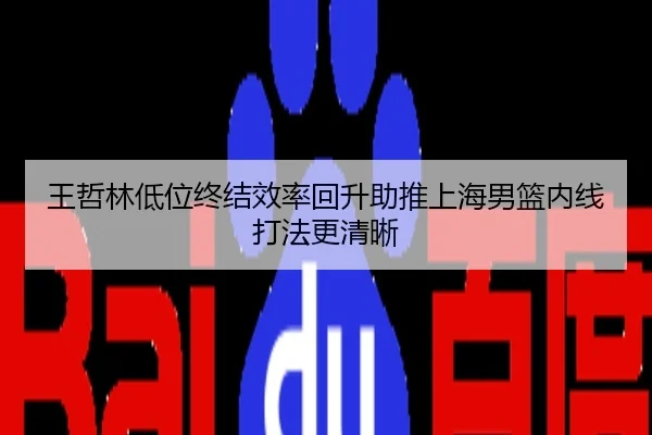 王哲林低位终结效率回升助推上海男篮内线打法更清晰