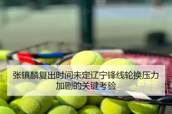 张镇麟复出时间未定辽宁锋线轮换压力加剧的关键考验