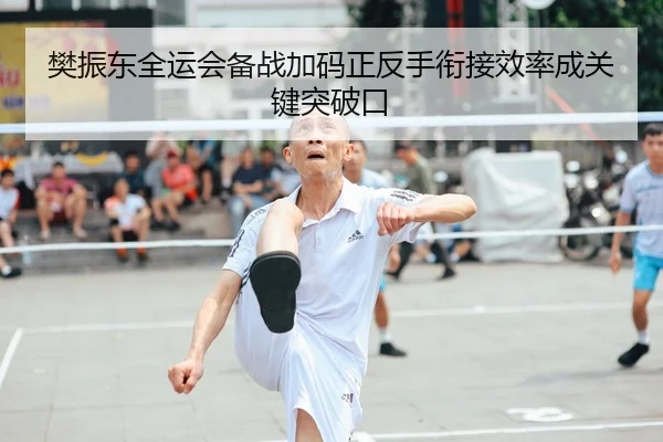 樊振东全运会备战加码正反手衔接效率成关键突破口