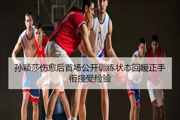 孙颖莎伤愈后首场公开训练状态回暖正手衔接受检验