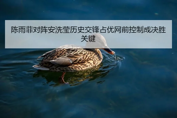 陈雨菲对阵安洗莹历史交锋占优网前控制成决胜关键